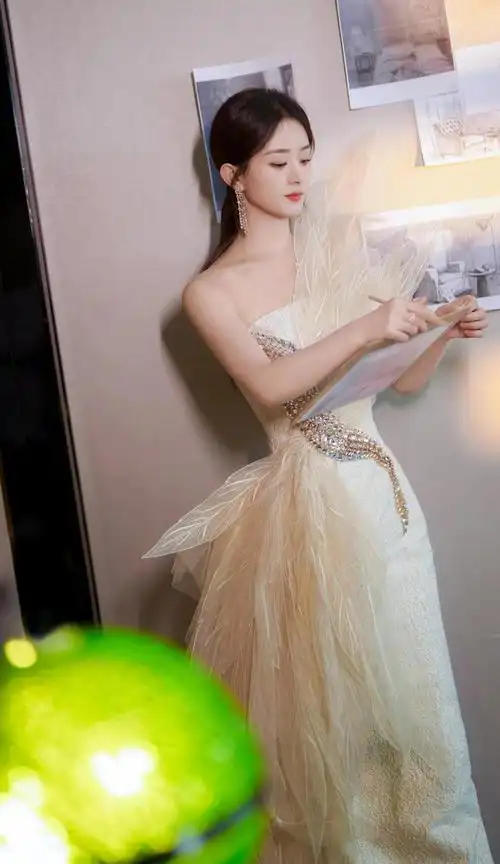 明星图片赵丽颖