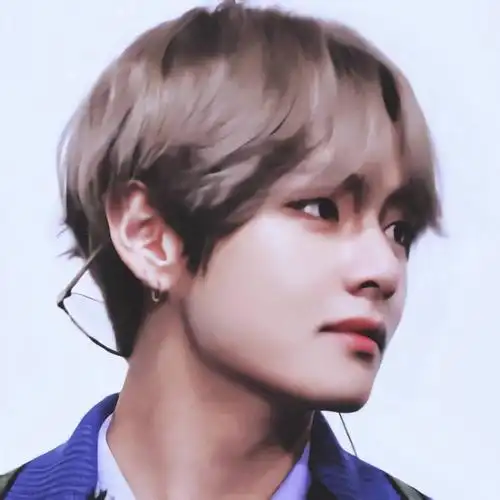 防弹少年团头像金泰亨朴智旻正泰