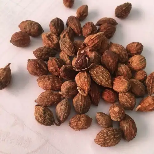 中药材益智仁小砂仁去皮砂仁 天然调料香料 批发哦