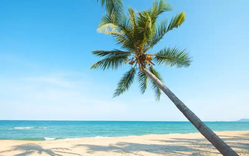 从15日开始,事业运逐渐旺盛,事业到达巅峰,喜大普奔的三大生肖