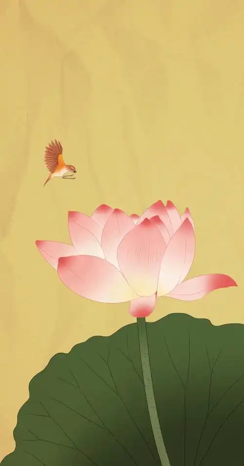 中国传统绘画中国画仿古工笔花鸟画莲花荷花鸟古风背景插画